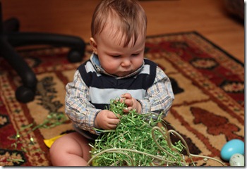 IMG_1400 IMG_1400