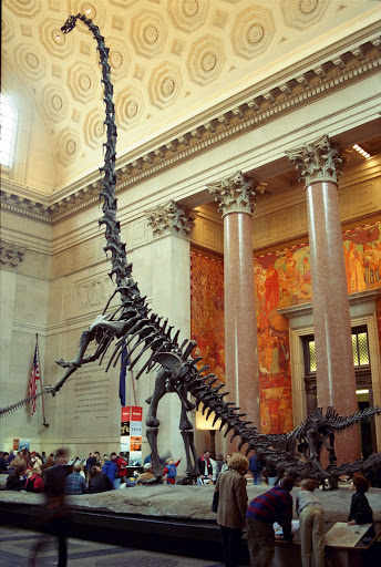 Museo de Historia Nat
