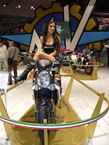 Brutale 3