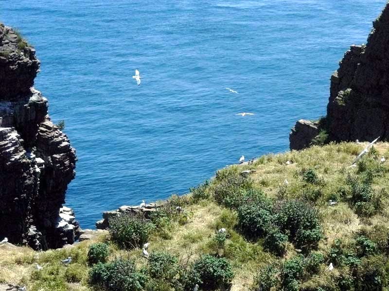 Мыс Фреель - сap Frehel 