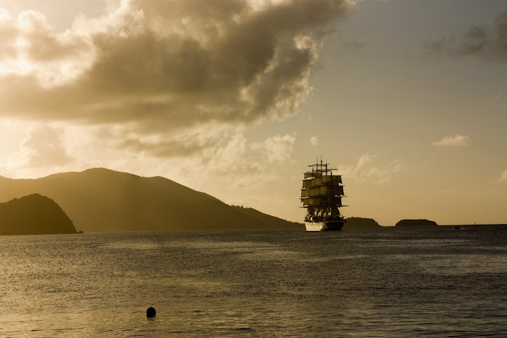 Pirates des caraibes