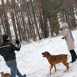 DSC_0598.JPG
