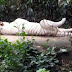 Malesia%20ja%20singapore%2009-10%20143