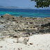 Dsc00172