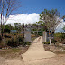 Dsc00432