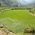 Dsc00641