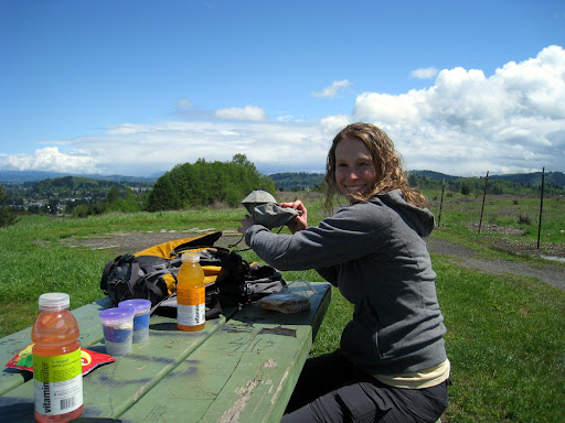 picnic