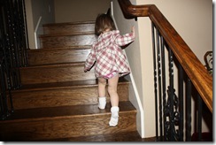 IMG_6117 IMG_6117