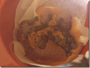 IMG_1654 IMG_1654