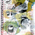 Iceland-Diary.jpg