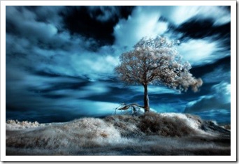 blueir