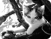BWbeauty BWbeauty
