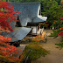 DSC09597.JPG, Nice moment, a natural spotlight!, Japan. Kyoto-Osaka.