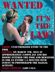 Its the Law copy