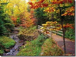 foto_autunno_33612