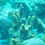 P1010208.JPG