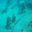 P1010212.JPG