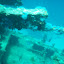 P1010219.JPG