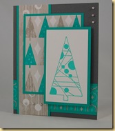 Angie_Rena_Card_Class_Nov09b Angie_Rena_Card_Class_Nov09b