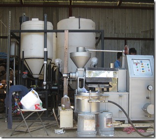 Jatropha processor