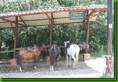IMG_2237_thumb1 IMG_2237_thumb1