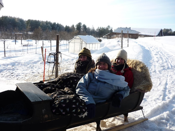 Les princesses embarquées dans le traineau de Jaco!
