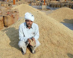 Krishi Upaj Mandi Nimbahera