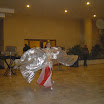 DSC08318.JPG