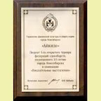 Открытого Турнира Единоборств