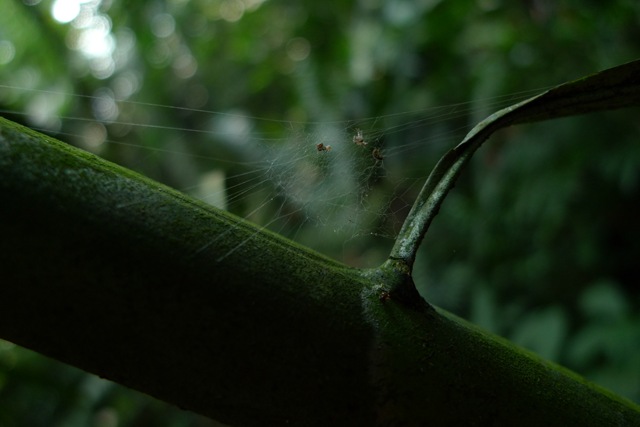 [P1020054[3].jpg]