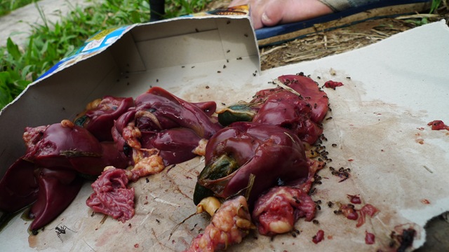 [P1030222[3].jpg]