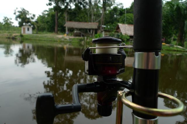 [P1030248[3].jpg]