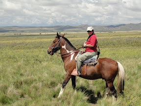 BUT Marilyn's horse was named "Cara de Verga," yes that is DICKFACE in English. He was named this because he does not play well with others. We all that that was terribly appropriate for Marilyn, as she does not play well with others either. It was the best Pairing we made in Mendoza.