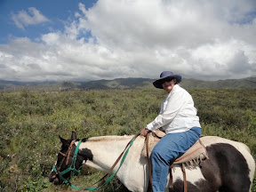 Becky on her fantastic horse.