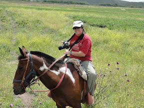 Dickface ate the thistle before she could hit the shutter. It was a tragedy on the Estancia.