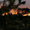 DSCN0717.JPG