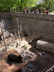 PICT0006.jpg