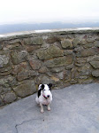 PICT0246.jpg