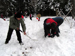PICT0368.jpg