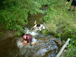 DSCN4295.jpg