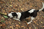 DSC_0064.jpg