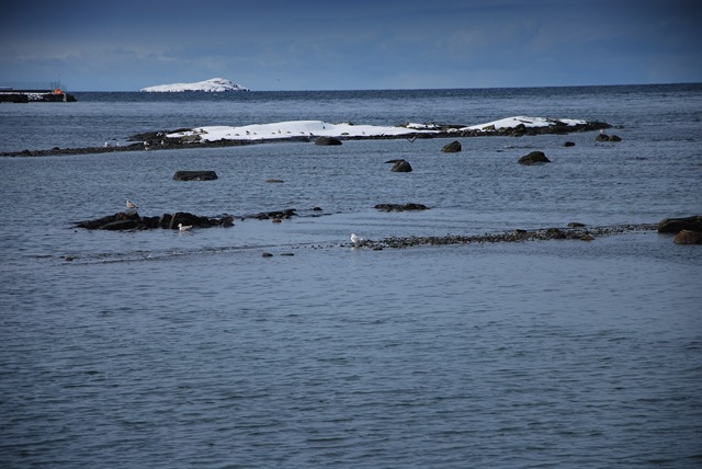 [DSC_0690c[6].jpg]