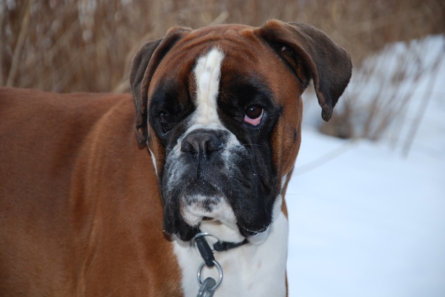 [DSC_0962[6].jpg]