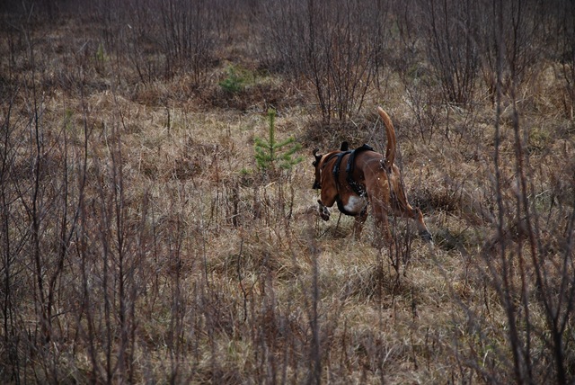 [DSC_1196[5].jpg]