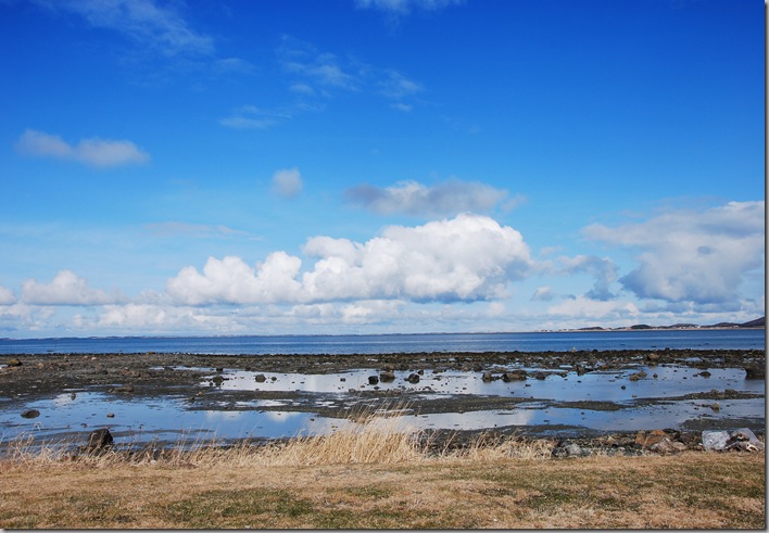 DSC_1382c