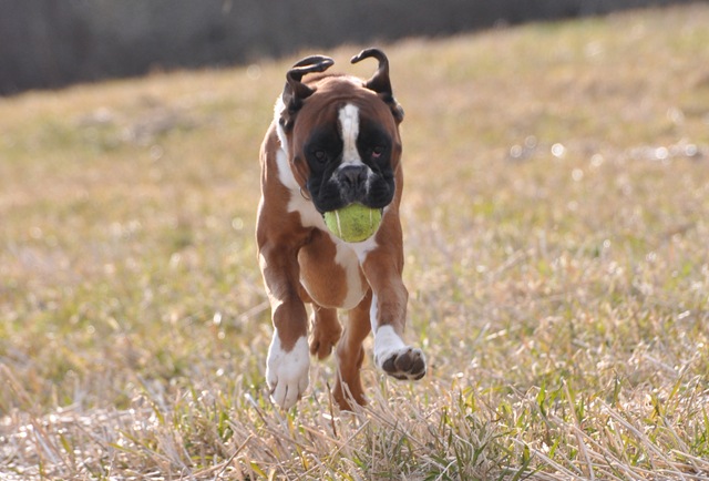 [DSC_7234_C[2].jpg]