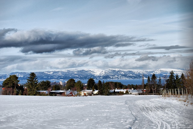 [DSC_0112_fhdr[5].jpg]