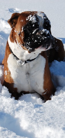 [DSC_0372_crop[5].jpg]