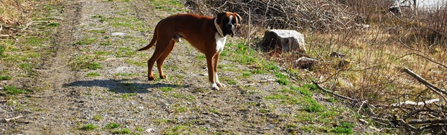 [DSC_4947_c[5].jpg]