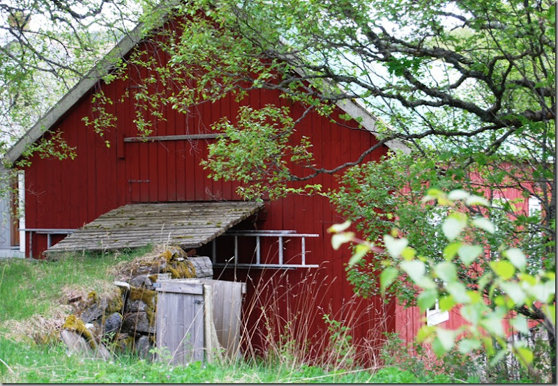 DSC_5587_c